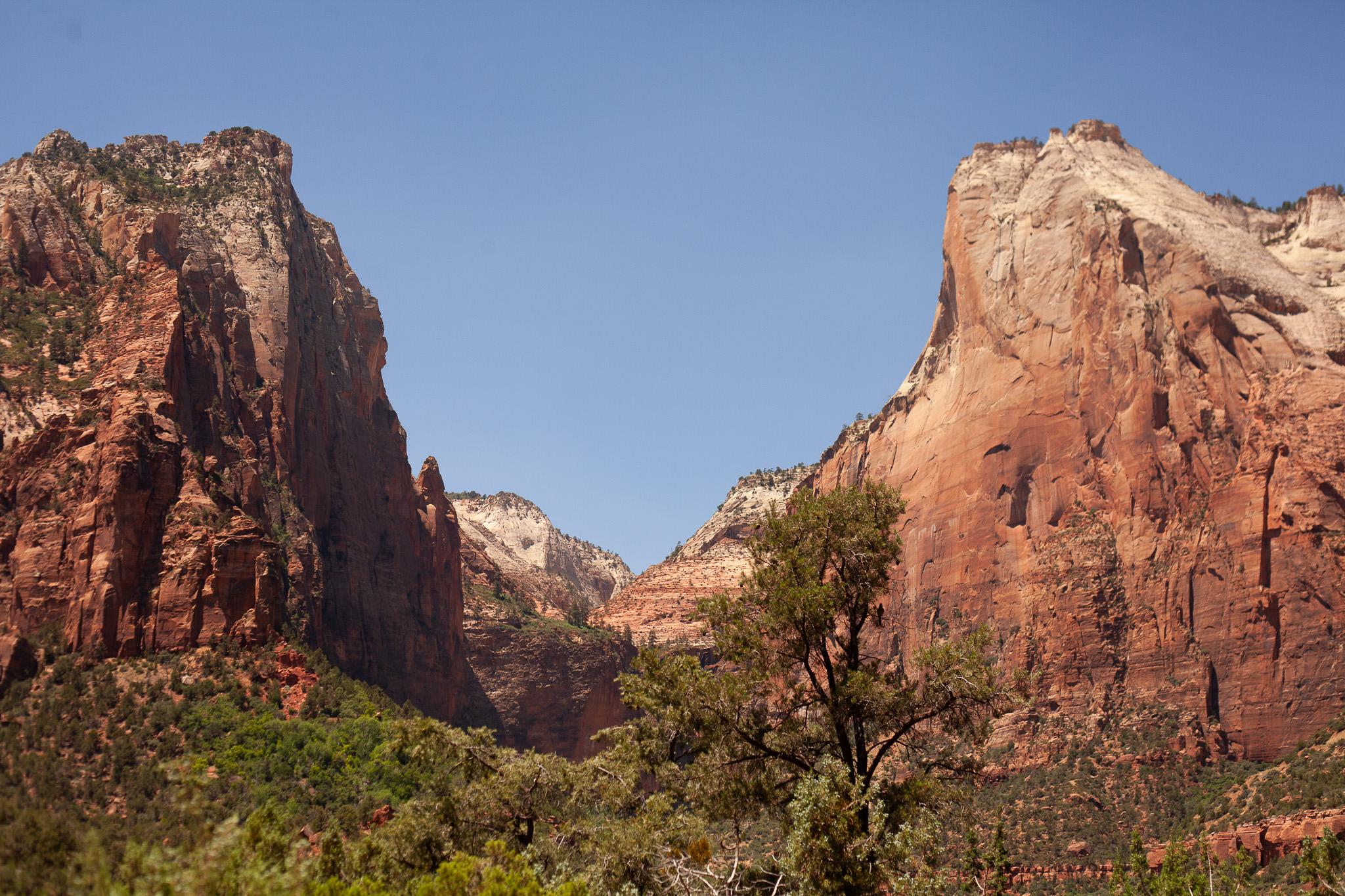 Zion1